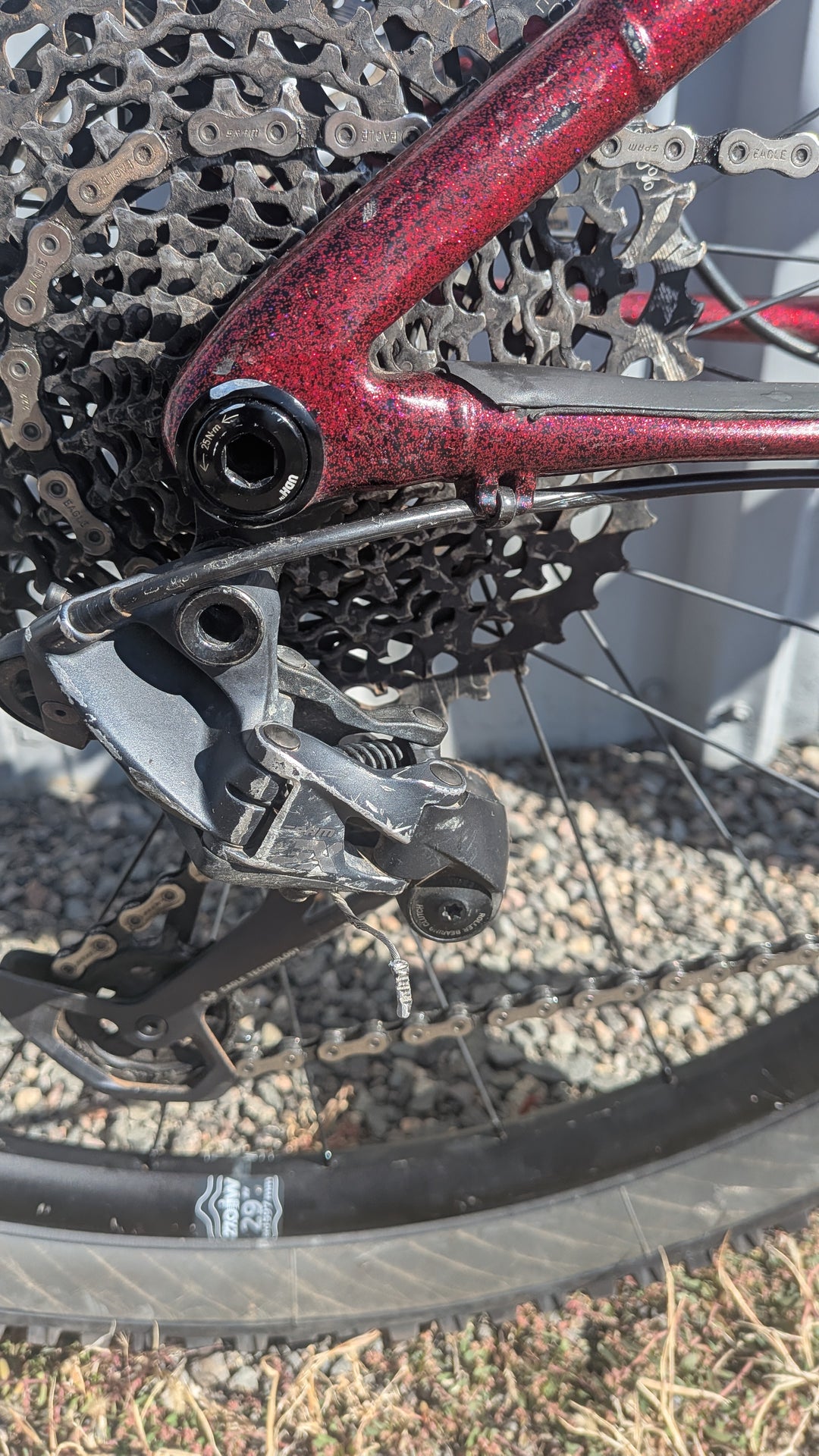 SST Demo Bike :: Size Small