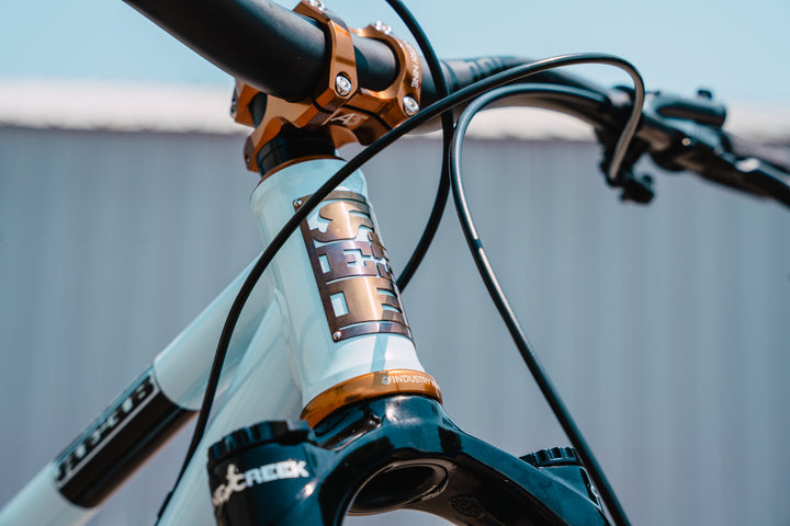 REEB Cycles x Industry Nine: Limited Edition Bronze Project Bikes