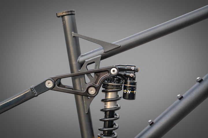 REEB Cycles X Cane Creek Invert Limited Edition
