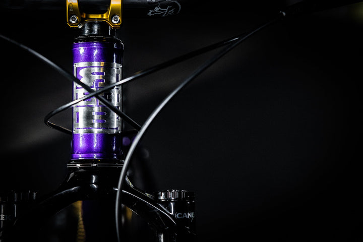 DEEP PURPLE SST
